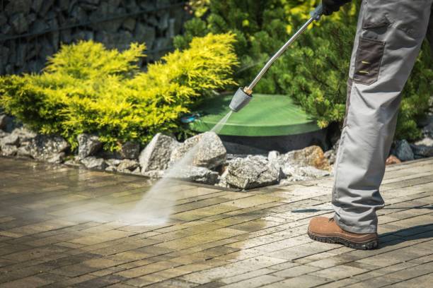 Best Driveway Pressure Washing  in , MA